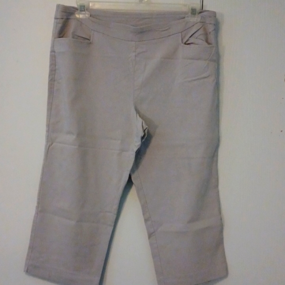 Time and Tru capris